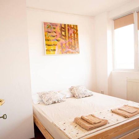 Piata Victoriei- 1 Room Apartment 티미쇼아라 외부 사진