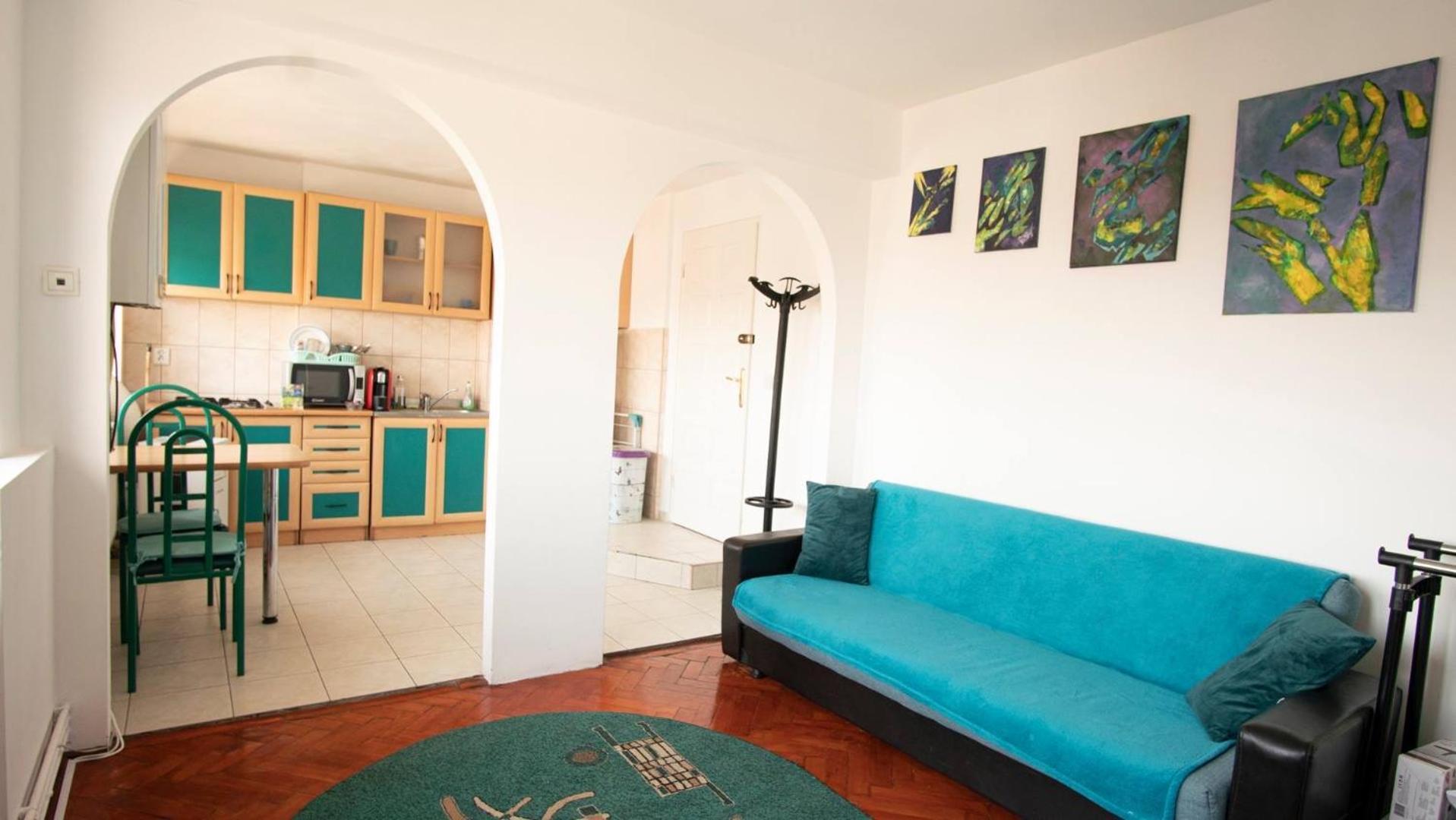Piata Victoriei- 1 Room Apartment 티미쇼아라 외부 사진