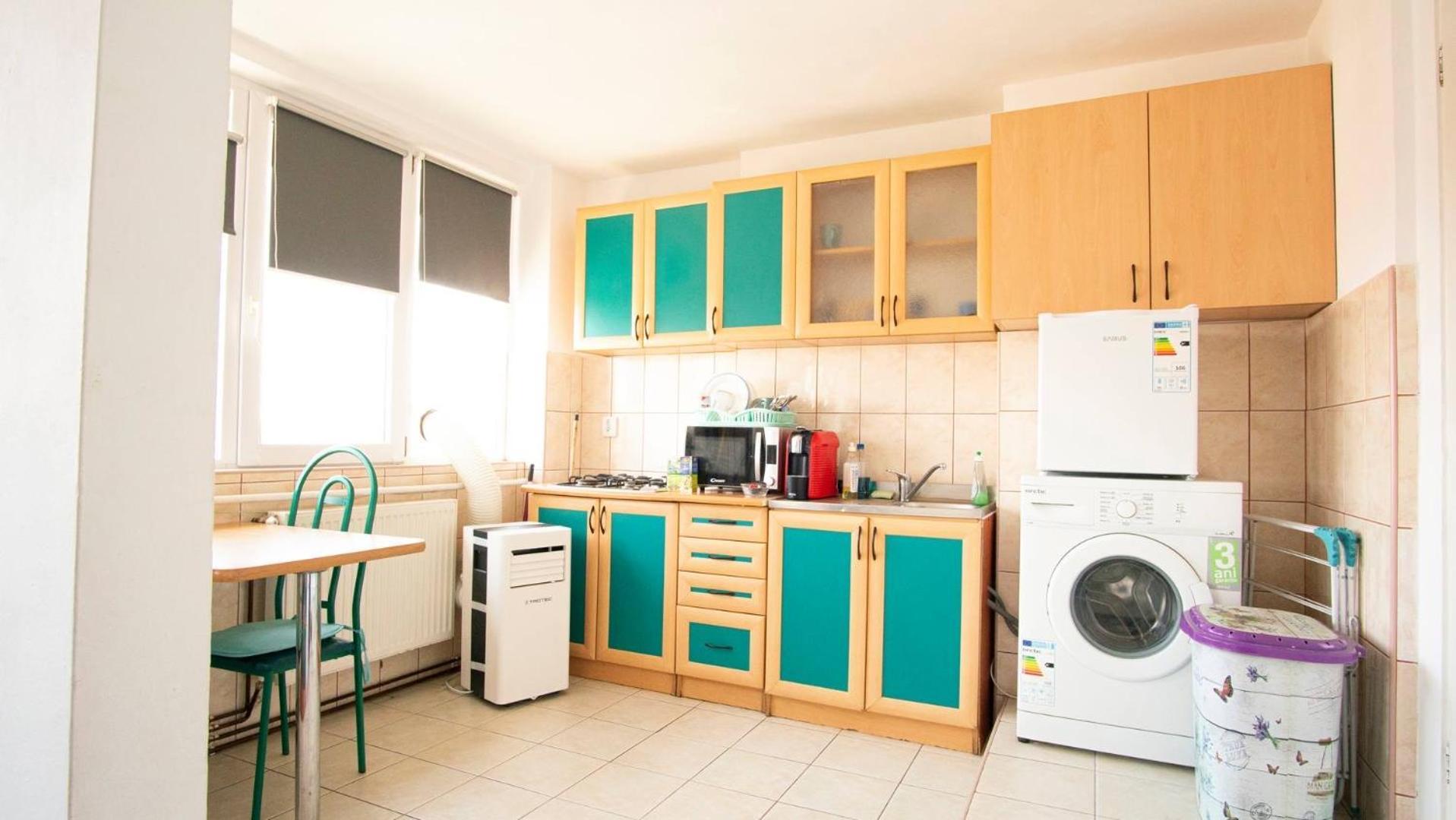 Piata Victoriei- 1 Room Apartment 티미쇼아라 외부 사진