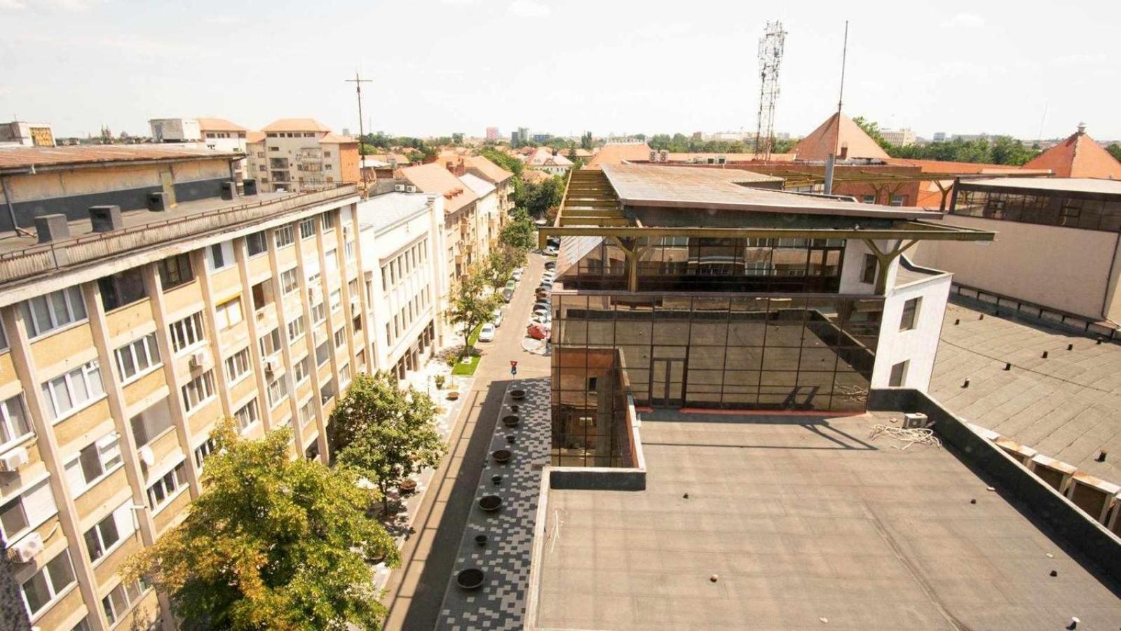 Piata Victoriei- 1 Room Apartment 티미쇼아라 외부 사진